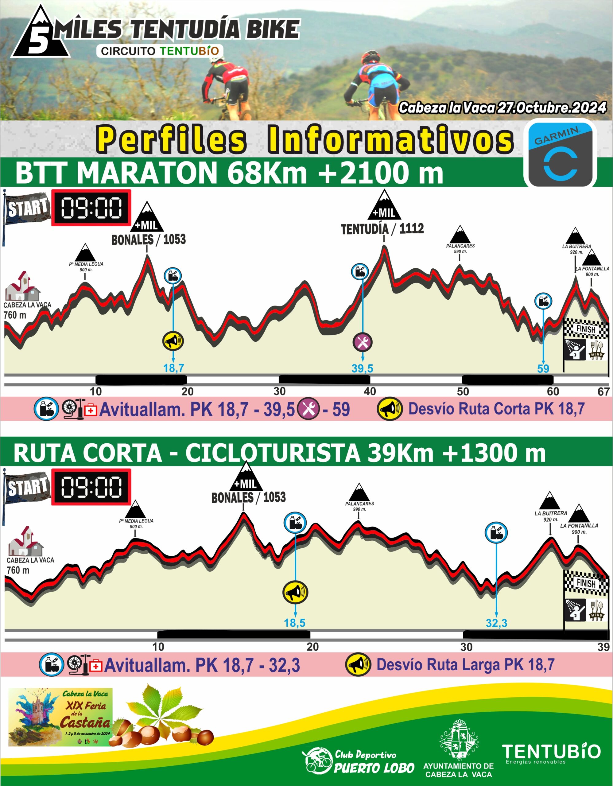 Perfiles INFO btt2024
